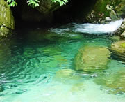 独山明天天气